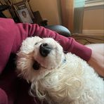 Ethan Pittman - Facebook