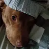 Ethan Pittman - @ethan.pittman8 - TikTok