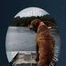 Ethan Pitts - Facebook