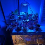 Ethan - @ethan_plantman - Instagram