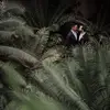 Ethan love plant - @ethanloveplant - TikTok
