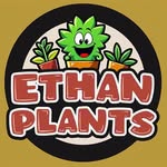 いーさんぷらんつ@埼玉県上尾市の多肉生産農家 - @ethan_plants - Instagram
