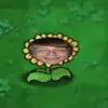 EthanPlantPot - @ethanplantpot - TikTok
