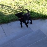 Ethan Plott - @ethan_21_ - Instagram