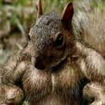 Ethan Pointer - @toxic_suffering_squirrel - Instagram