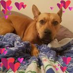 Ethan Pollack - Facebook