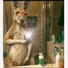 Ethan Ponce - @ethan.ponce6 - TikTok