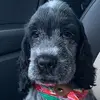 Ethan Pond - @ethanpond1 - TikTok