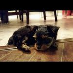 @ethanpond_ - Instagram