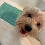 Ethan__portillo - @ethan__portillo5 - Instagram