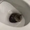 eth4n - @ethan.posts - TikTok