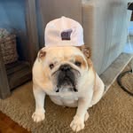 Ethan Post - @ethan.post11 - Instagram