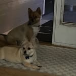 Ethan Post - @hueyjasper29 - Instagram