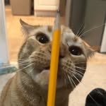 Ethan Potts - @ethanpotts461 - Instagram