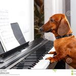 Ethan Powers - @piano_fella - Instagram