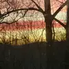 Ethan Presley - @ethanpresley0 - TikTok