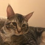 Ethan Prete - @ethan_plays_soccer14 - Instagram