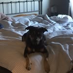 Ethan Preuss - @etjpreuss2175 - Instagram