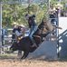 Ethan Pringle - Facebook