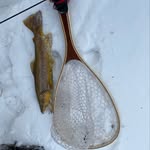 Ethan Proctor - @mountaintime_wildtrout - Instagram