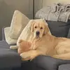 ethanproctor659 - @ethanproctor659 - TikTok