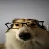 ethanproctorr - @ethanproctorr - TikTok