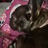 Éthan Proulx - @than.proulx - TikTok
