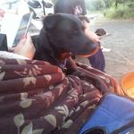 ethan - @ethanprouty1 - Instagram