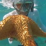 Ethan Province - @ezprovince - Instagram