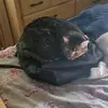 Ethan Pugh - @ethan.pugh - TikTok