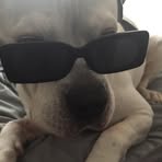 Ethan Quick - Facebook