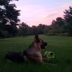 Ethan Quick - @nonukesnomad - Instagram