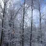 Ethanquick42 - @_ethanquick_ - Instagram