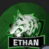 Ethan Gaming Clips - @ethanrabinovichgaming - TikTok
