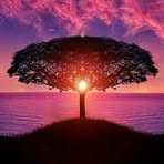 Ethan Rabinowitz - Facebook