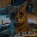 Ethan Rabon - Facebook