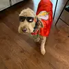 Ethan Radke - @ethanradke_ - TikTok
