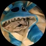Ethan ralston - @ethanralston1 - Instagram