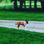 Ethan Ralston - @ralston.e - Instagram
