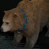 Ethan Ramirez - @ethan.ramirez65 - TikTok