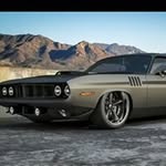 Ethan Randall - @ethan.randall.165 - Instagram