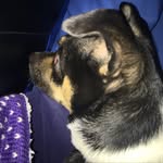Ethan - @ethanranger45 - Instagram
