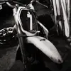 Ethan Ransom - @ethan.ransom - TikTok