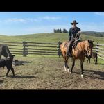 ethan_ransome - @ethan_ransome - Instagram