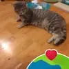 Ethan Rath - @ethan.rath5 - TikTok