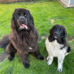 Ethan Rathbone - @ethanrathbone - Instagram