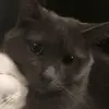 Ethan - @ethanraul0 - TikTok