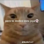 Ethan Raúl - @ethanraul25 - Instagram