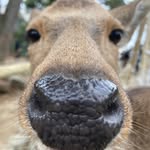 Ethan Rauv - @ethanrauvphotos - Instagram