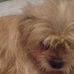 Ethan Rawlins - Facebook